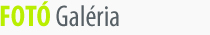 fot galria